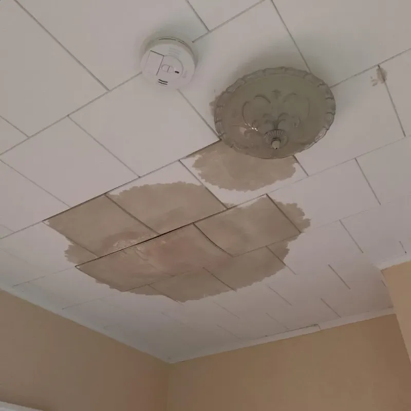 Ceiling Water Damage Repair in Rotterdam, NY