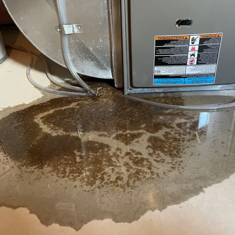 Pipe Burst and Leak Restoration in Rotterdam, NY