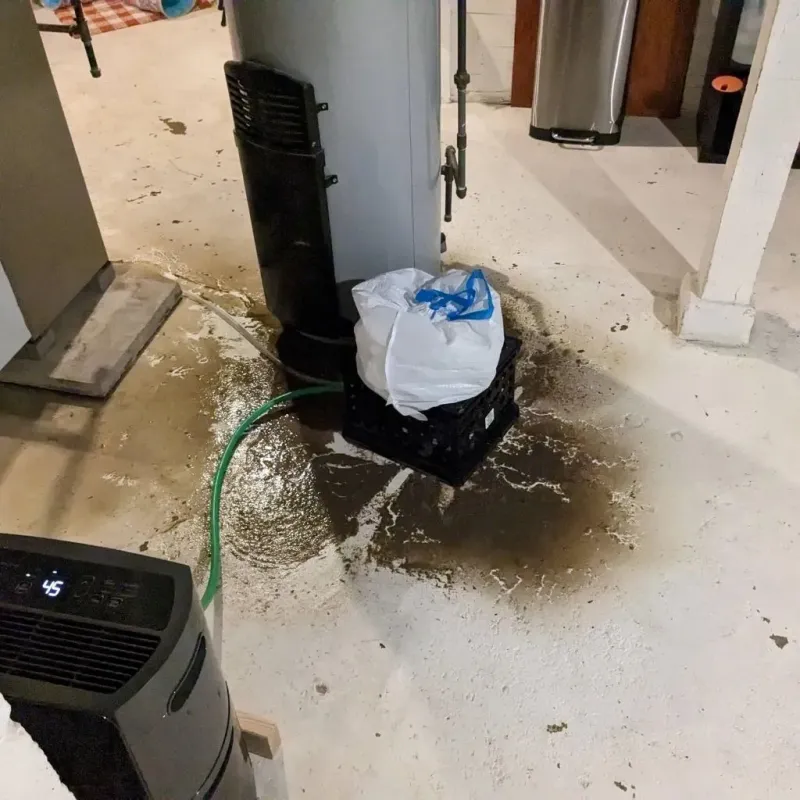 Sewage Backup Cleanup Service in Rotterdam, NY